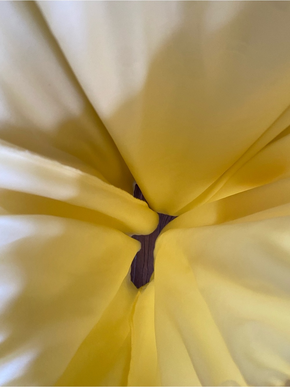 Japna (Winners) Butter Yellow Sundress with an Open Back - Picture 10 of 11